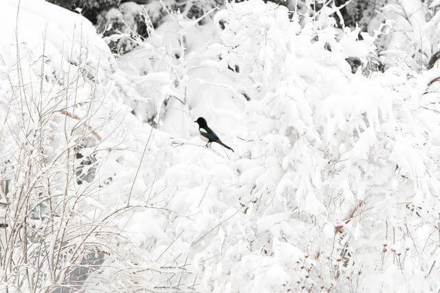 覆冰在線監(jiān)測(cè) 覆冰在線監(jiān)測(cè)